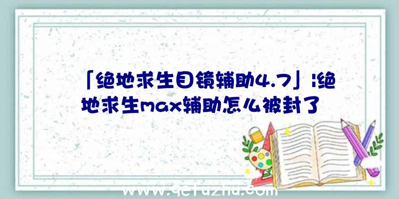 「绝地求生目镜辅助4.7」|绝地求生max辅助怎么被封了